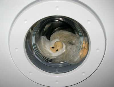 waschmaschine - Nach Trennung: Hartz IV Anspruch auf Waschmaschine