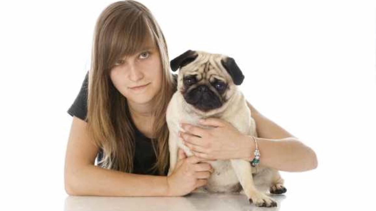 See Taupo Ausschreiben Verwischen warum muss man hundesteuer zahlen Stille Krug Blütenblatt