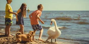 Hartz IV: Kinder mit Anspruch auf Schülerfreizeit