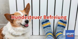 Bürgergeld & Sozialhilfe: Befreiung von der Hundesteuer so beantragen