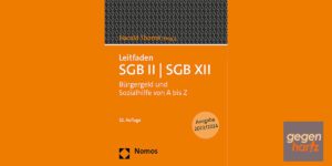 Neuer Leitfaden für die Sozialhilfe und Bürgergeld
