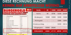 NIUS und die Bürgergeld-"Berechnung" die nicht wütend machen kann