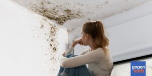 Jobcenter darf trotz Schimmelbefall Bürgergeld-Bezieher im Stich lassen