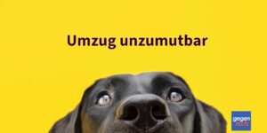 Sozialhilfe-Bezieherin muss wegen ihres Hundes nicht umziehen obwohl die Wohnung unangemessen ist