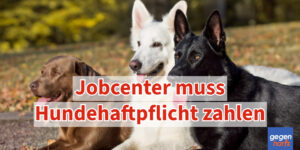 Bürgergeld: Muss das Jobcenter die Hundehaftpflicht zahlen?