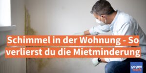 Schimmel in der Wohnung: Dieser Fehler verhindert Mietminderung