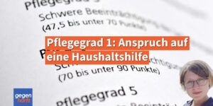 Ab Pflegegrad 1 besteht Anspruch auf Unterstützung im Haushalt