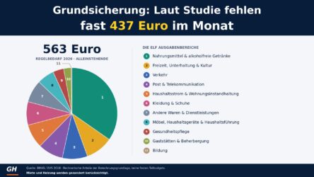 Beitragsbild von: Grundsicherung: Fast 437 Euro fehlen im Monat – Neue Studie stellt den Regelsatz infrage